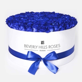 Blue Roses in a Large Round Box