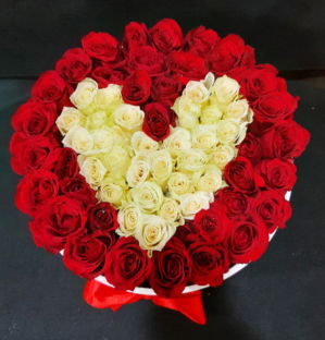 Red and white Roses in love and romance