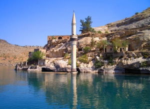 Black Rose Mystery - Haltefi, Turkey