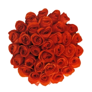 Flower Delivery Abu Dhabi " Sunset" in Medium Black Rose Box