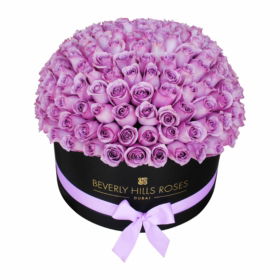 Purple Roses Large Box Bouquet - Angel Globe Black Box