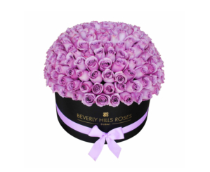 Flowers in Dubai - Purple roses in dome shape in box