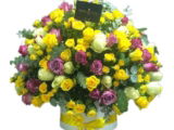 Yellow, White & Purple Roses Color Burst