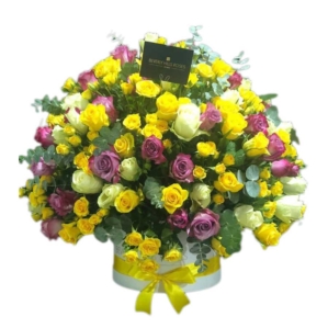 Yellow, White & Purple Roses Color Burst