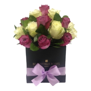 Purple & White Roses in Pleasure