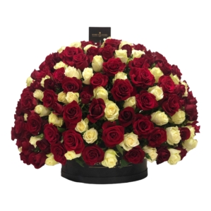 Red & White Roses in 'Little Love Globe' - Image 2