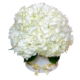 Snow White Hydrangea Bouquet