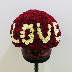 Red Roses Valentines Love