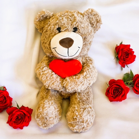 Valentine Teddy bear with red heart